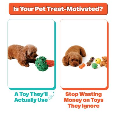 Show full view: LuftPets Carrot Snuffle Mat Dog & Cat Foraging Toy slide 3 of 11