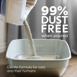 Litter Genie Light Unscented Clumping Clay Cat Litter, 22-lb bag slide 2 of 9