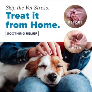 TropiClean HomeVet Medicated Alcohol-Free Dog Ear Drops, 2-fl oz bottle