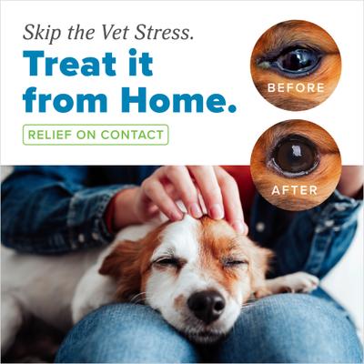 Show full view: TropiClean HomeVet Soothing Dog & Cat Itchy Eye Relief Wash, 4-fl oz bottle slide 4 of 10