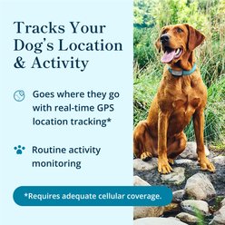 Purina Petivity Smart GPS & Activity Dog Tracker Tag slide 2 of 8
