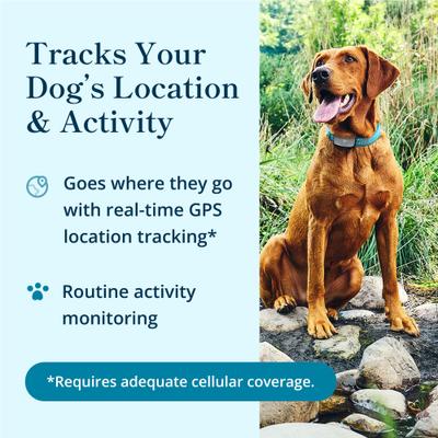 Show full view: Purina Petivity Smart GPS & Activity Dog Tracker Tag slide 3 of 9