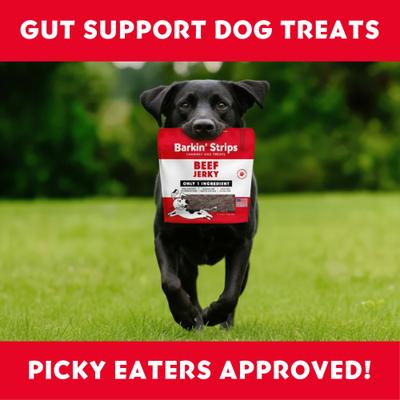 Show full view: Vitafur Barkin' Beef Jerky Strips Grain-Free Dehydrated Dog Treats, 12-oz bag slide 5 of 6