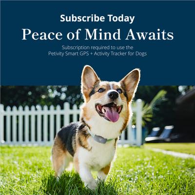 Show full view: Purina Petivity Smart GPS & Activity Dog Tracker Tag slide 8 of 9