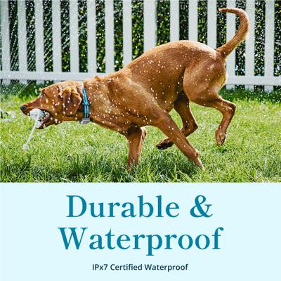 Show full view: Purina Petivity Smart GPS & Activity Dog Tracker Tag slide 6 of 9