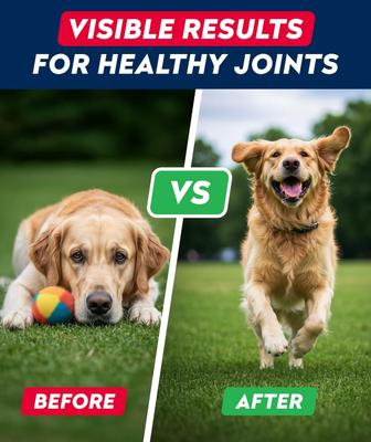 Show full view: StrellaLab Glucosamine Chondroitin & Hip & Joint with Omegas 3 & Fish Oil Advanced Mobility Chew Supplement for Dogs, 180 count slide 8 of 10