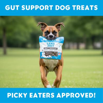 Show full view: Vitafur Barkin' Lamb Jerky Strips Grain-Free Dehydrated Dog Treats, 12-oz bag slide 5 of 6