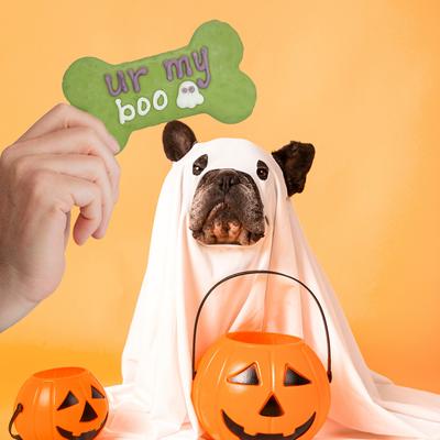 Show full view: Wufers Ur My Boo Cookies Dog Crunchy Treats, 4.2-oz bag, 2 count slide 7 of 11