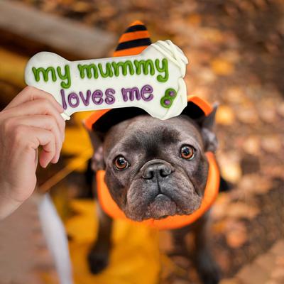 Show full view: Wufers My Mummy Loves Me Cookie Dog Crunchy Treat, 5.3-oz bag slide 6 of 9