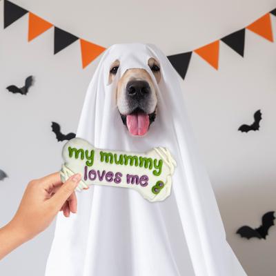 Show full view: Wufers My Mummy Loves Me Cookie Dog Crunchy Treat, 5.3-oz bag slide 7 of 9