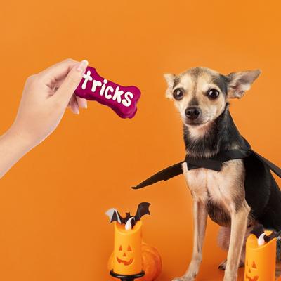 Show full view: Wufers Will Do Tricks for Treats Cookies Dog Crunchy Treats, 4-oz bag, 4 count slide 9 of 11