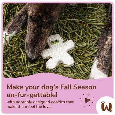 Show full view: Wufers Halloween Cups Soft & Chewy Dog Treats, 2.5-oz bag, 4 count slide 7 of 8