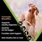 Show in main carousel: VICTOR Large Breed Gluten-Free Chicken & Fish Meal Elite Canine Dry Dog Food, 50-lb bag slide 3 of 11