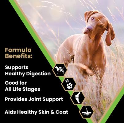 Show full view: VICTOR Large Breed Gluten-Free Chicken & Fish Meal Elite Canine Dry Dog Food, 15-lb bag slide 3 of 11