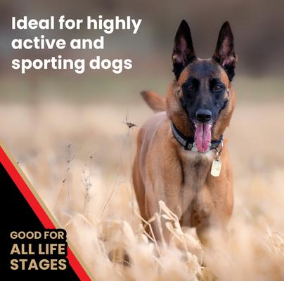 Show full view: VICTOR High Energy Active Sporting Gluten-Free Beef & Chicken Meal Dry Dog Food, 5-lb bag slide 6 of 12