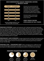 VICTOR High Energy Active Sporting Gluten-Free Beef & Chicken Meal Dry Dog Food, 40-lb bag slide 2 of 9