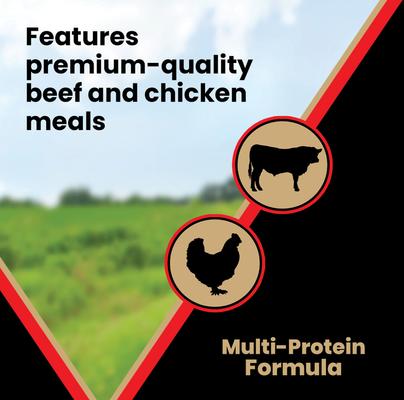 Show full view: VICTOR High Energy Active Sporting Gluten-Free Beef & Chicken Meal Dry Dog Food, 40-lb bag slide 7 of 12