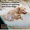 Show in main carousel: VICTOR Hi-Pro Plus 30/20 Active Sporting High Protein Gluten-Free Dry Dog Food, 15-lb bag slide 6 of 12
