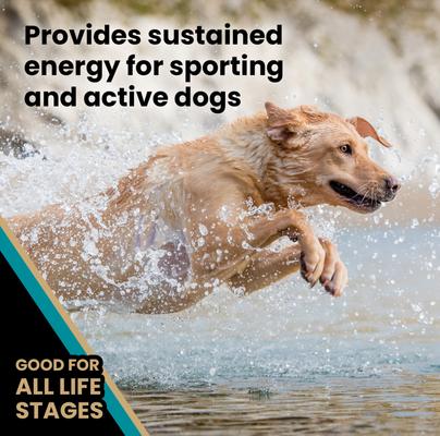 Show full view: VICTOR Hi-Pro Plus 30/20 Active Sporting High Protein Gluten-Free Dry Dog Food, 15-lb bag slide 6 of 12