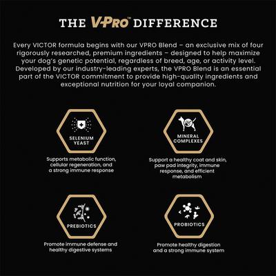 Show full view: VICTOR Hi-Pro Plus 30/20 Active Sporting High Protein Gluten-Free Dry Dog Food, 15-lb bag slide 5 of 12