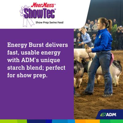 Show full view: ADM MoorMan's ShowTec Show Prep Swine Feed, 5-lb bag slide 5 of 7