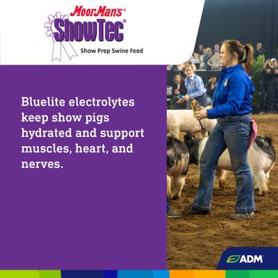 Show full view: ADM MoorMan's ShowTec Show Prep Swine Feed, 5-lb bag slide 6 of 7