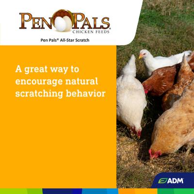 Show full view: ADM Pen Pals All-Star Scratch 7% Protein Chicken Feed, 50-lb bag slide 7 of 7