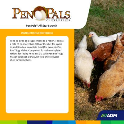Show full view: ADM Pen Pals All-Star Scratch 7% Protein Chicken Feed, 50-lb bag slide 2 of 7