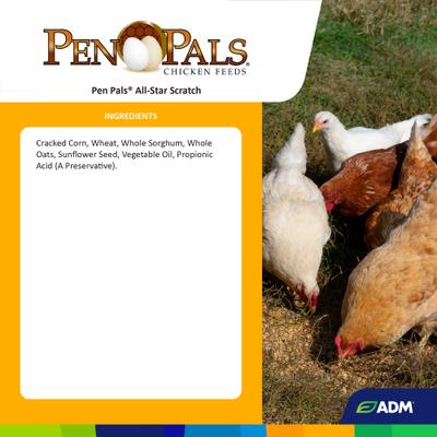 Show full view: ADM Pen Pals All-Star Scratch 7% Protein Chicken Feed, 50-lb bag slide 3 of 7