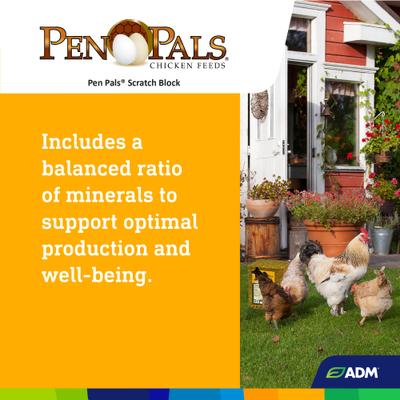 Show full view: ADM Pen Pals Scratch Block Chicken Supplement, 25-lb block slide 6 of 8