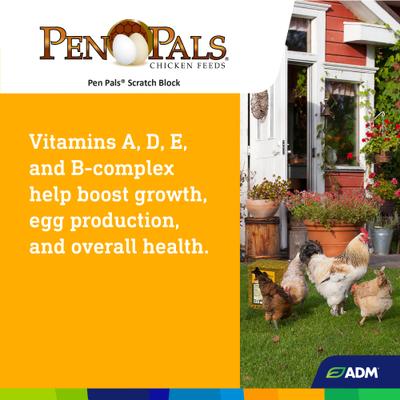 Show full view: ADM Pen Pals Scratch Block Chicken Supplement, 25-lb block slide 7 of 8