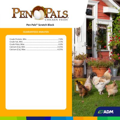 Show full view: ADM Pen Pals Scratch Block Chicken Supplement, 25-lb block slide 4 of 8