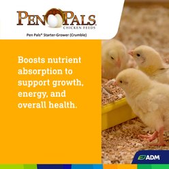 ADM Pen Pals Starter-Grower 18% Protein Crumble Chicken Feed, 25-lb bag slide 2 of 7