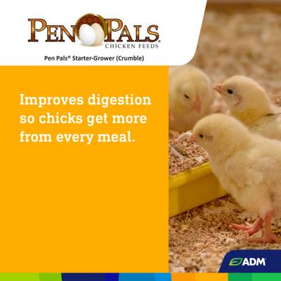 Show full view: ADM Pen Pals Starter-Grower 18% Protein Crumble Chicken Feed, 25-lb bag slide 5 of 7