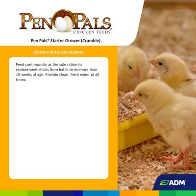 Show full view: ADM Pen Pals Starter-Grower 18% Protein Crumble Chicken Feed, 25-lb bag slide 2 of 7
