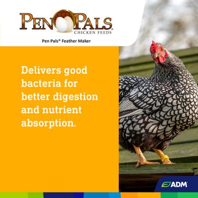 Show full view: ADM Pen Pals Feather Maker 18% Protein Pellets Chicken Feed, 50-lb bag slide 7 of 7