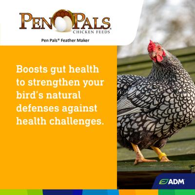 Show full view: ADM Pen Pals Feather Maker 18% Protein Pellets Chicken Feed, 50-lb bag slide 6 of 7
