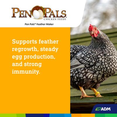 Show full view: ADM Pen Pals Feather Maker 18% Protein Pellets Chicken Feed, 50-lb bag slide 5 of 7