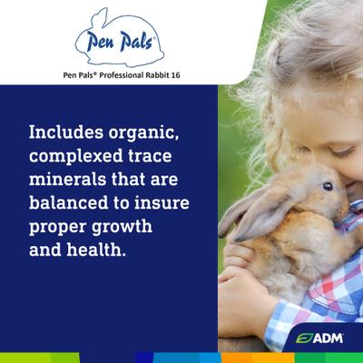 Show full view: ADM Professional Rabbit Food, 25-lb bag slide 5 of 7