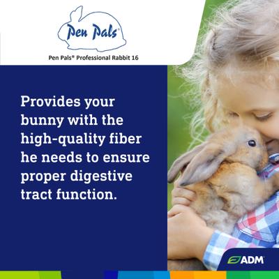 Show full view: ADM Professional Rabbit Food, 25-lb bag slide 6 of 7