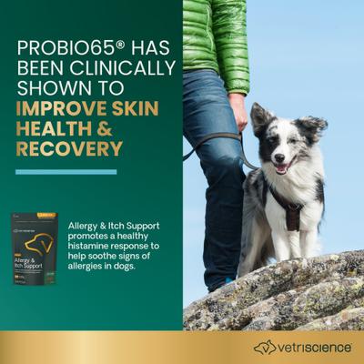 Show full view: VetriScience Allergy & Itch Support Duck Flavored Allergy Plus Skin & Immune Supplement for Dogs, 75 Count slide 4 of 11