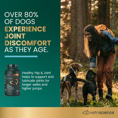 Show full view: VetriScience GlycoFlex 2 Healthy Hip & Joint Chicken Flavored Chewable Tablets Supplement for Dogs, 120 count slide 4 of 12