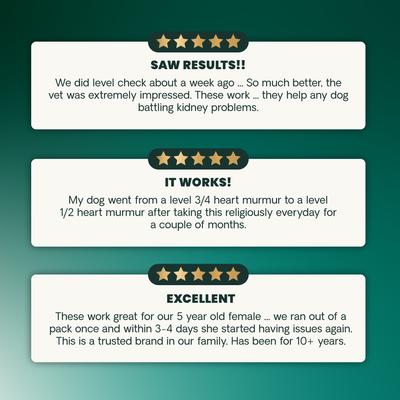 Show full view: VetriScience Renal Essentials Kidney Health Smoke Flavored Chewable Tablets Supplement for Dogs, 60 count slide 8 of 10