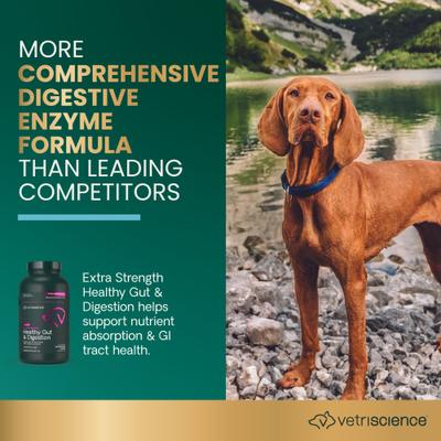 Show full view: VetriScience Probiotic BD Chicken Flavored Chewable Tablets Digestive Supplement for Dogs, 120 count slide 4 of 11