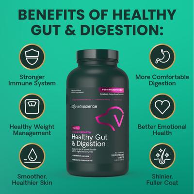 Show full view: VetriScience Probiotic BD Chicken Flavored Chewable Tablets Digestive Supplement for Dogs, 120 count slide 7 of 11