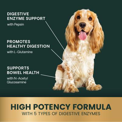 Show full view: VetriScience Probiotic BD Chicken Flavored Chewable Tablets Digestive Supplement for Dogs, 120 count slide 6 of 11