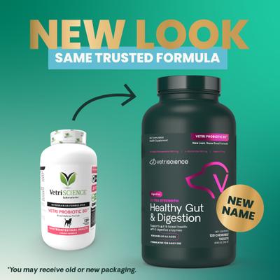 Show full view: VetriScience Probiotic BD Chicken Flavored Chewable Tablets Digestive Supplement for Dogs, 120 count slide 3 of 11