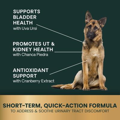 Show full view: VetriScience UT Strength Smoke Flavored Chewable Tablet Urinary Supplement for Dogs, 90 count slide 6 of 11