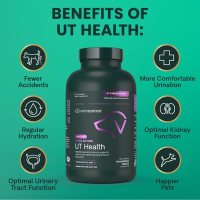 Show full view: VetriScience UT Strength Smoke Flavored Chewable Tablet Urinary Supplement for Dogs, 90 count slide 7 of 11