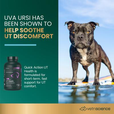 Show full view: VetriScience UT Strength Smoke Flavored Chewable Tablet Urinary Supplement for Dogs, 90 count slide 4 of 11